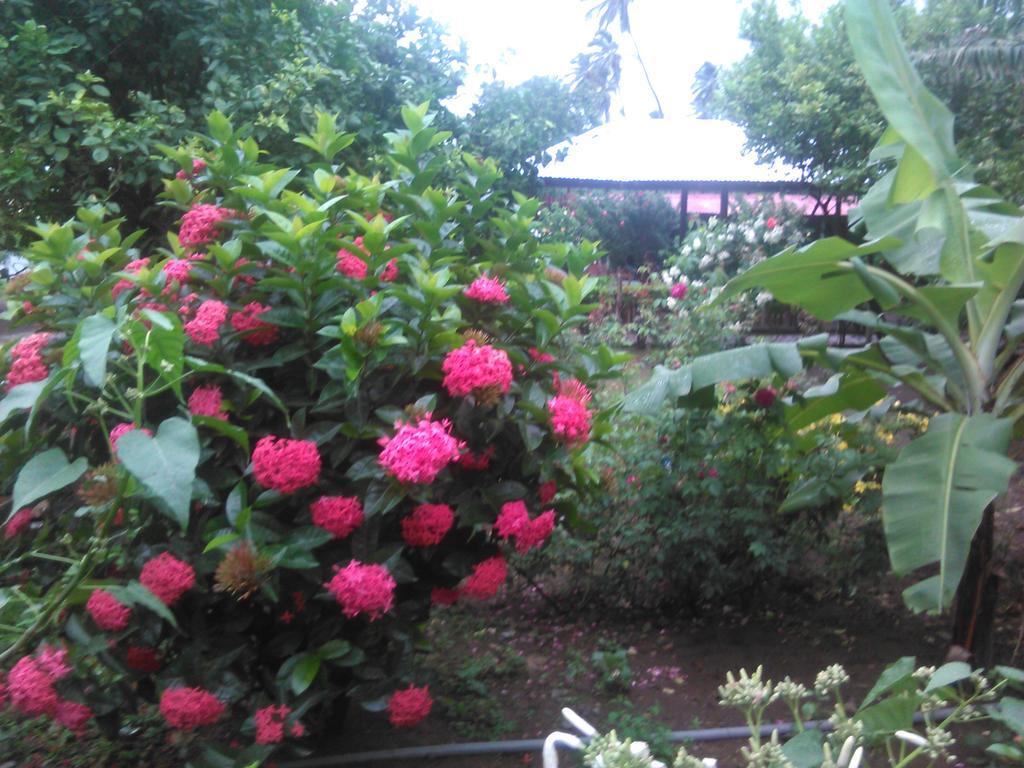 Hostal La Cascada San Ramon Mérida Buitenkant foto