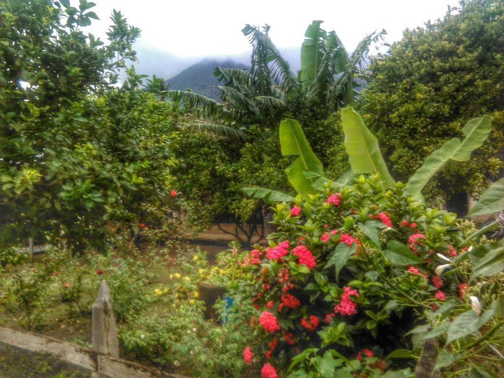 Hostal La Cascada San Ramon Mérida Buitenkant foto