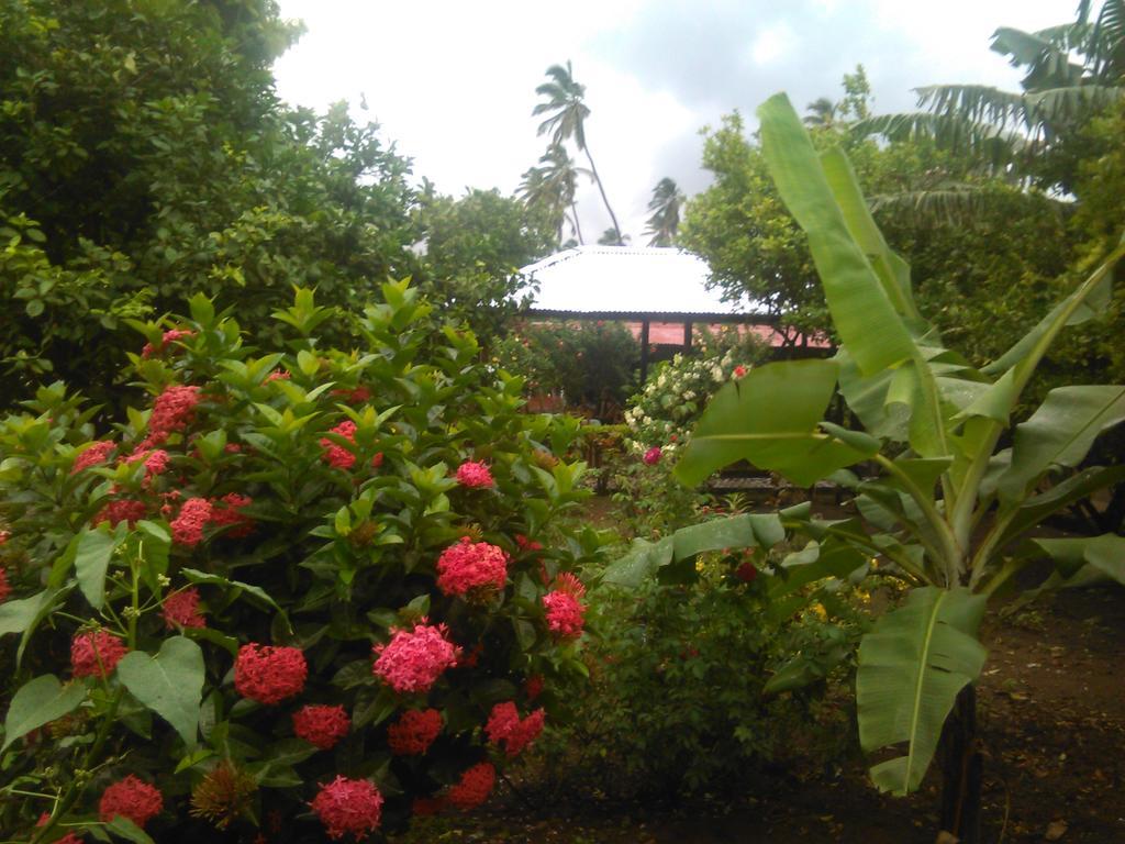 Hostal La Cascada San Ramon Mérida Buitenkant foto