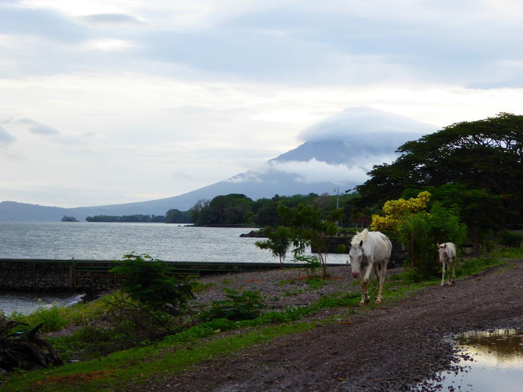 Hostal La Cascada San Ramon Mérida Buitenkant foto